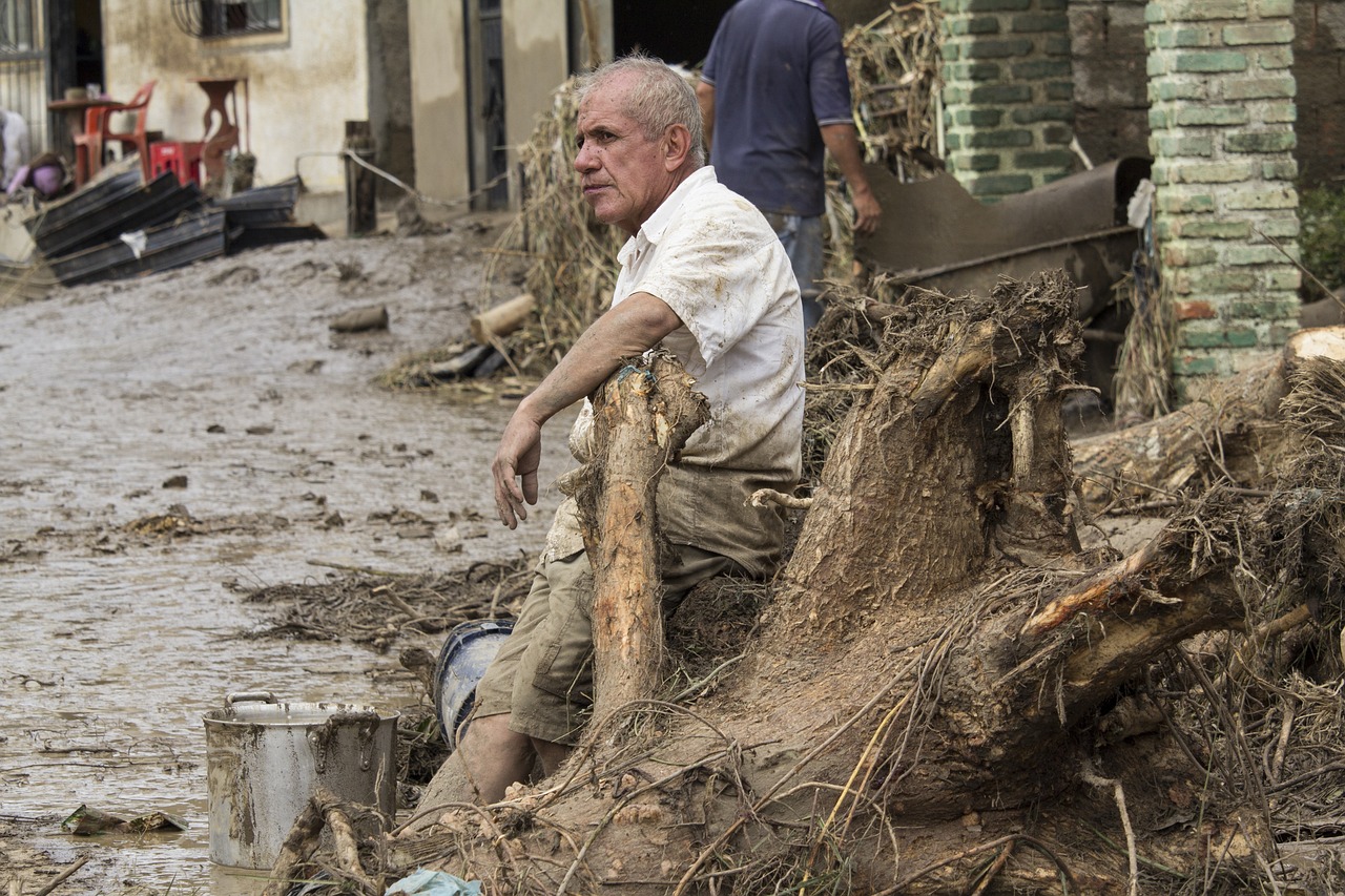 A Look at Corporate Efforts in Disaster Preparedness and Management